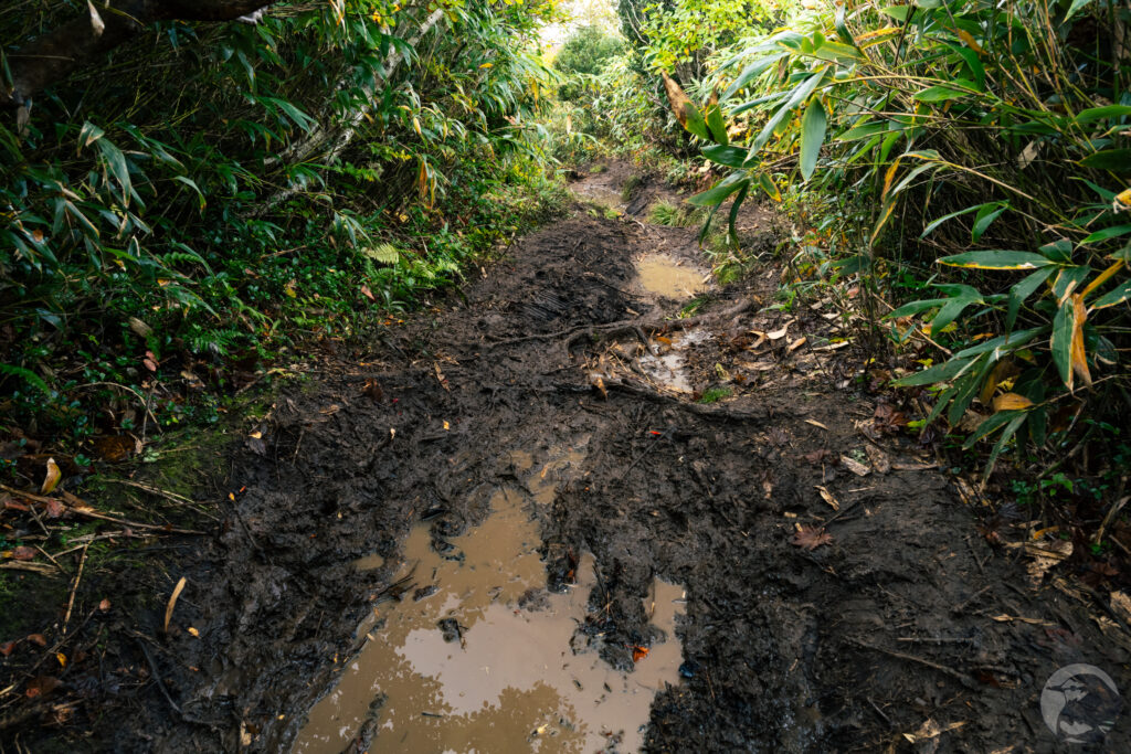 秣岳鞍部への道