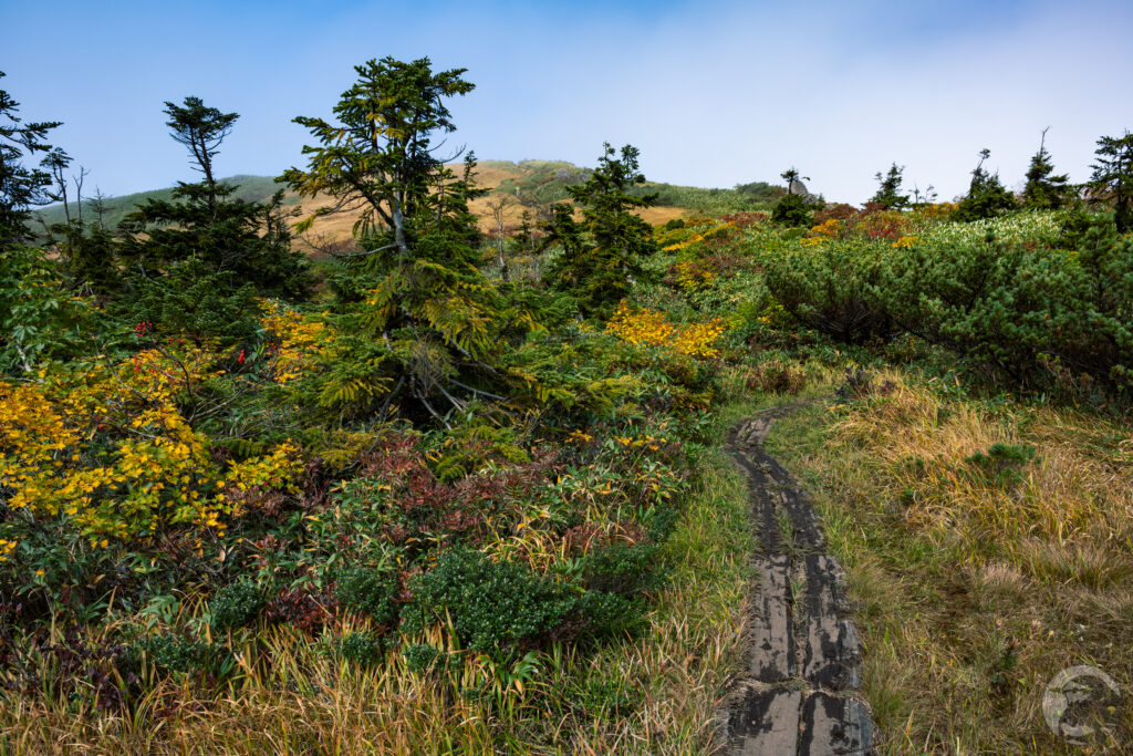 秣岳山頂への道