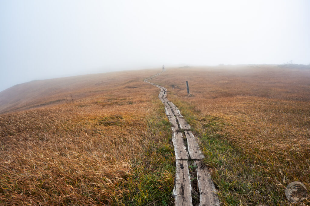 霧と湿原復路