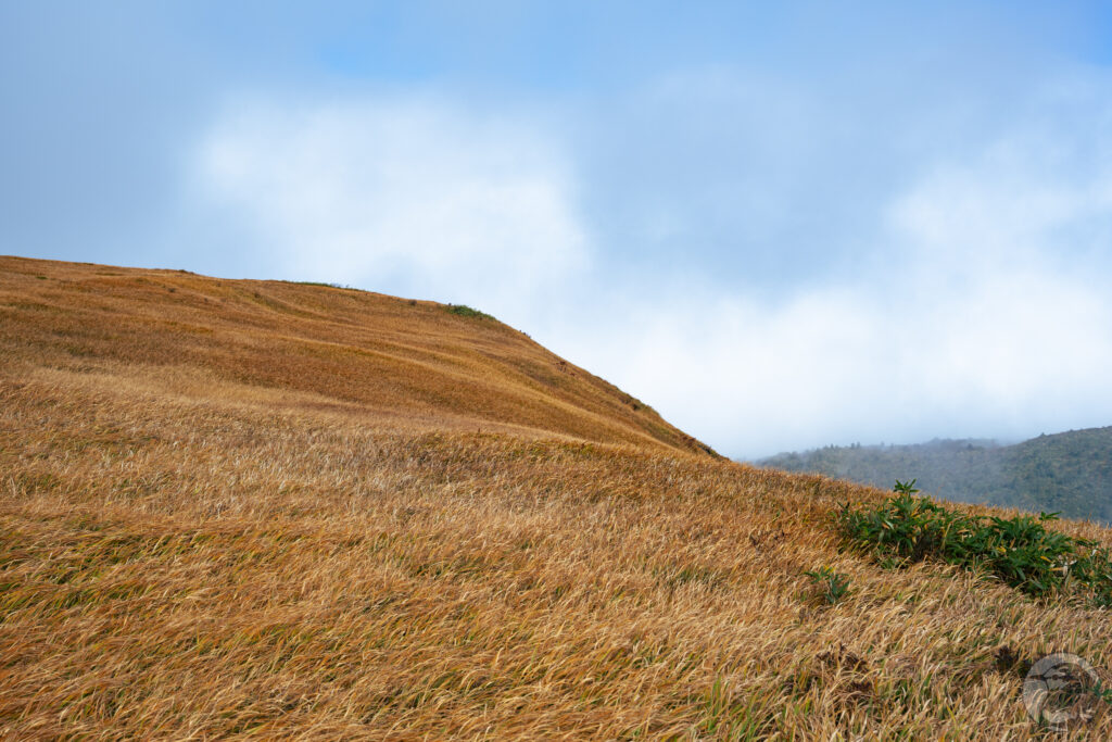 白銀湿原見晴らし
