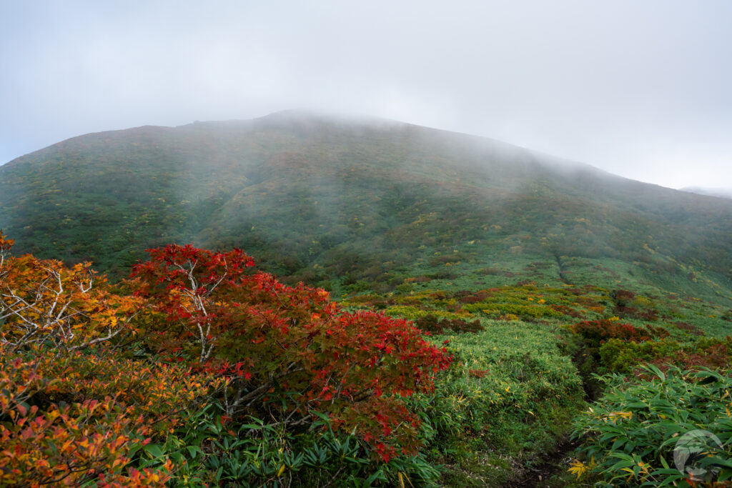 秣岳鞍部から栗駒山