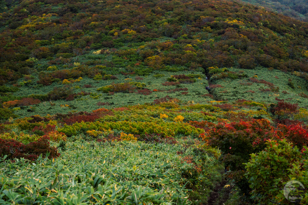 秣岳鞍部から栗駒山クローズアップ