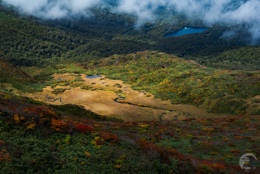 龍泉ヶ原と須川湖