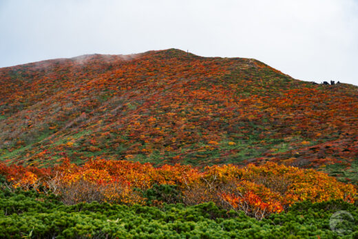 【東北】栗駒山～霧に包まれる紅葉の名山をいわかがみ平から登る～【10月】