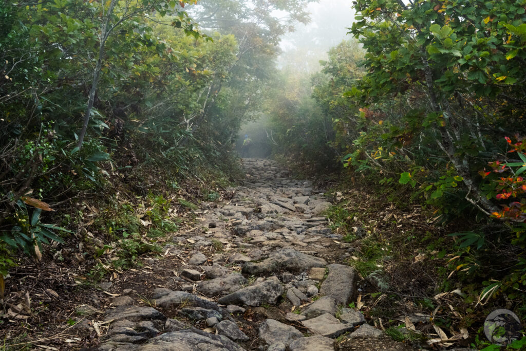 中央ルート前半部