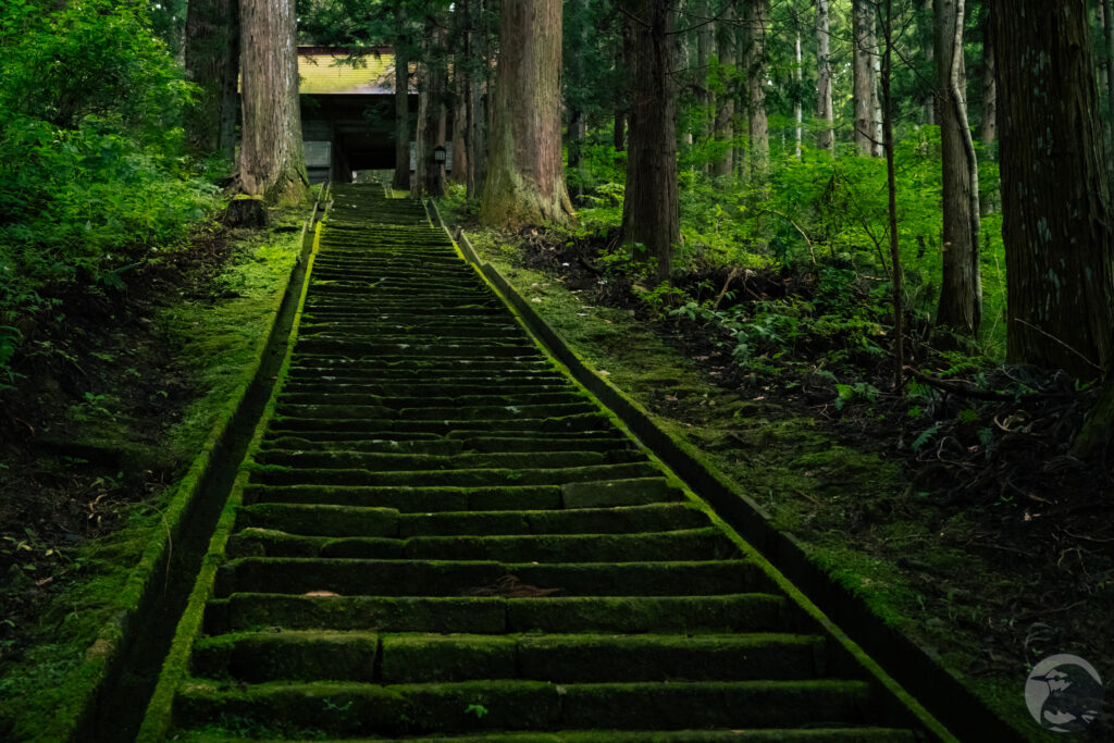 駒形根神社参道