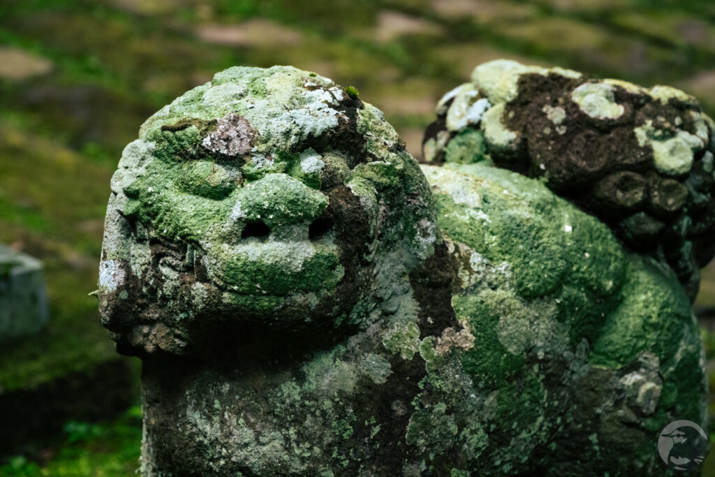 駒形根神社狛犬