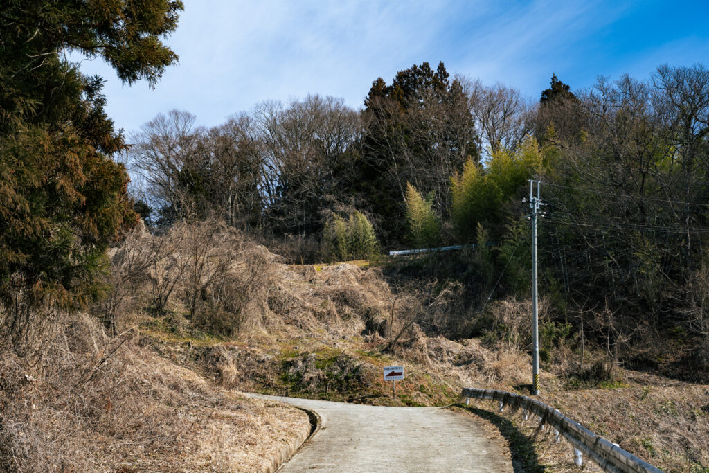 登山口林道