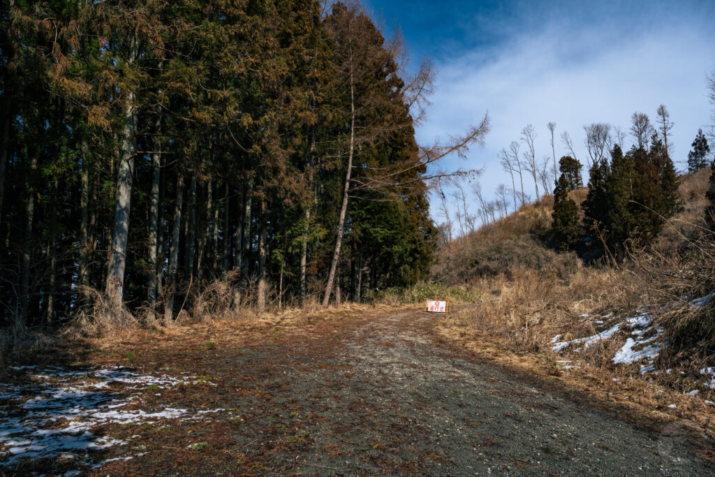 林道中間地点