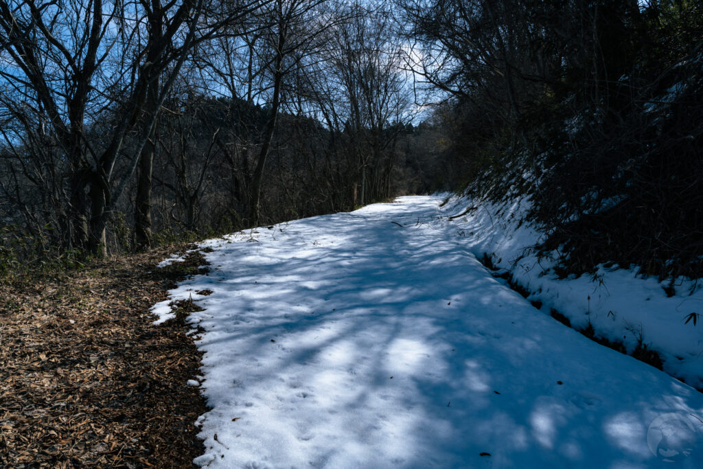 林道残雪