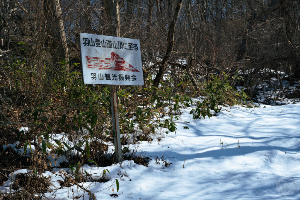 羽山山頂への道