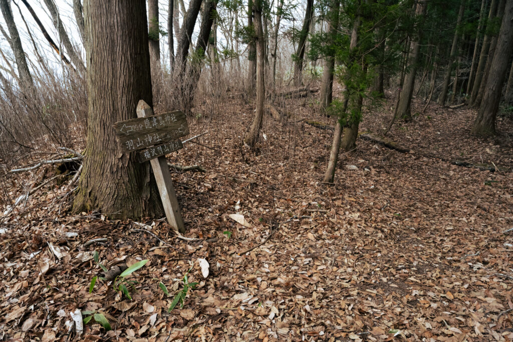 木幡山への看板