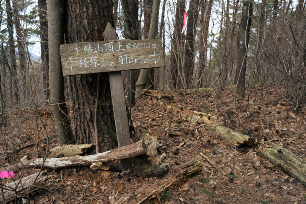 木幡山頂上