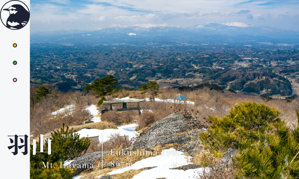 羽山アイキャッチ