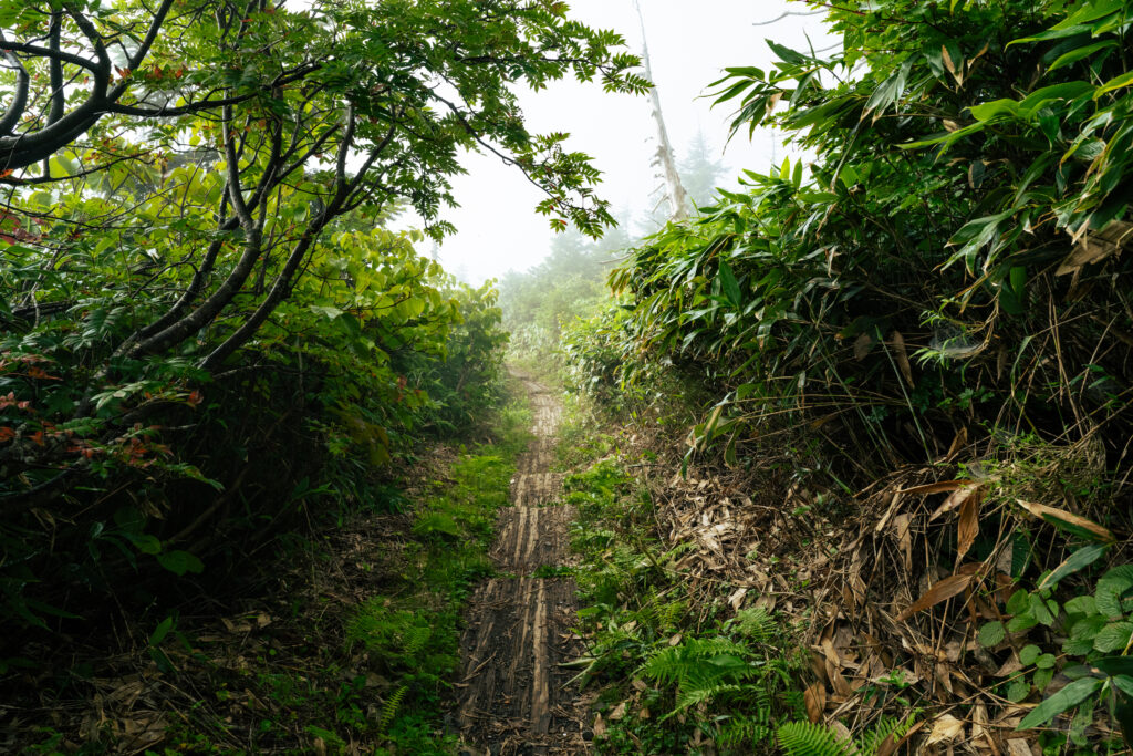 登山口近く