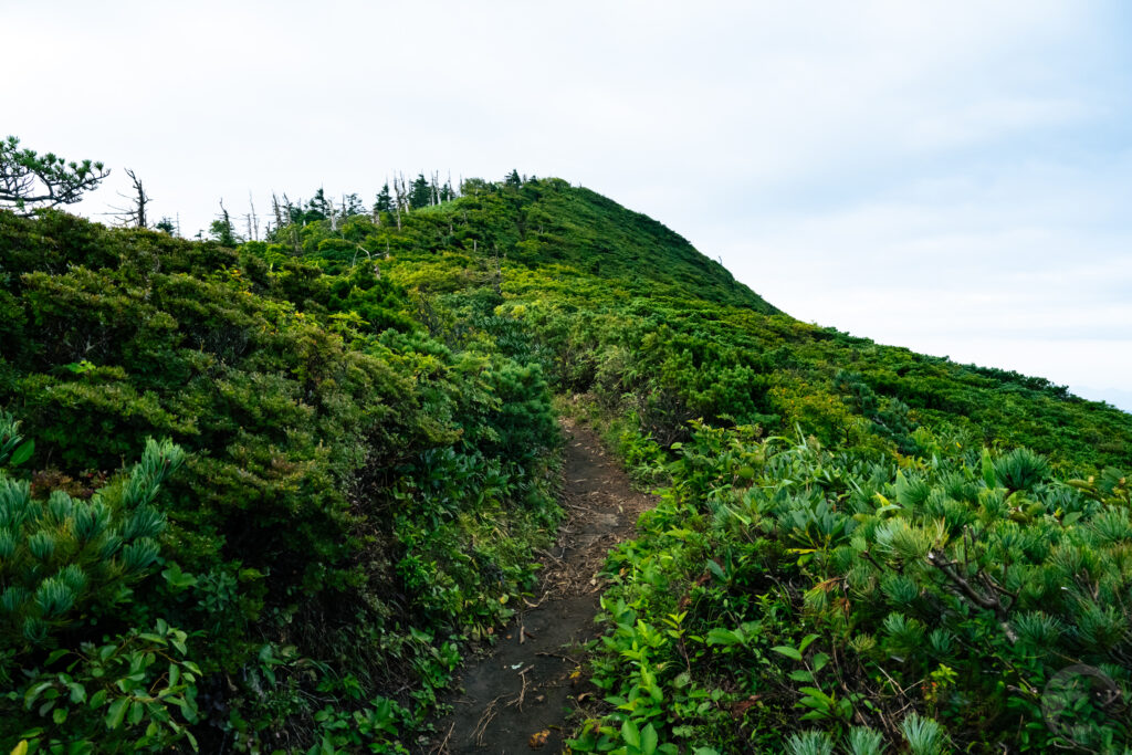 前山手前