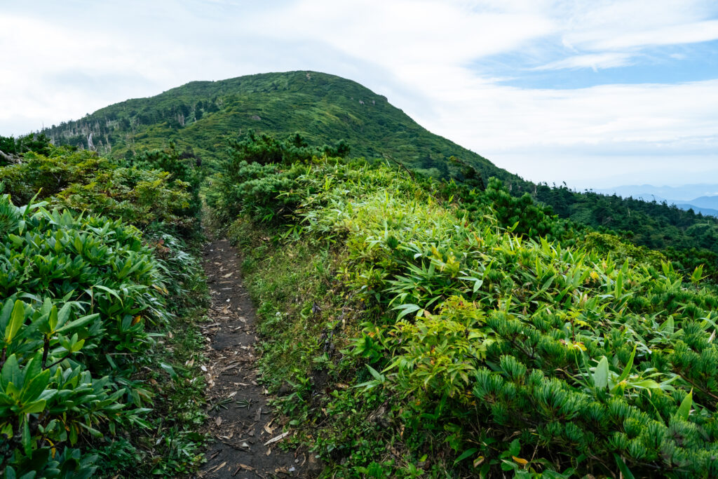 杉ヶ峰手前
