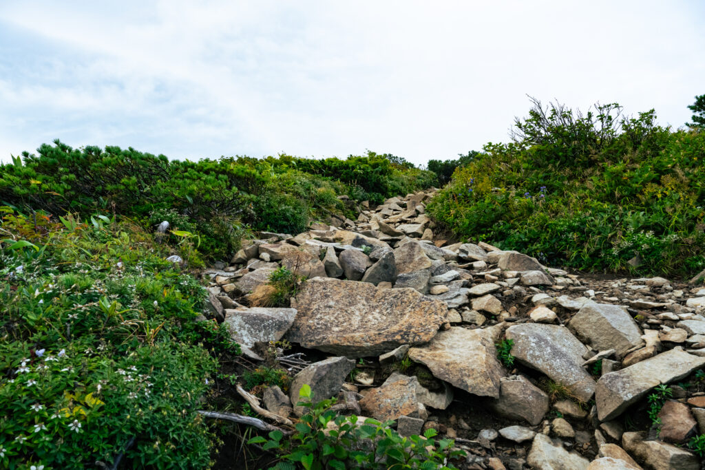 杉ヶ峰岩場