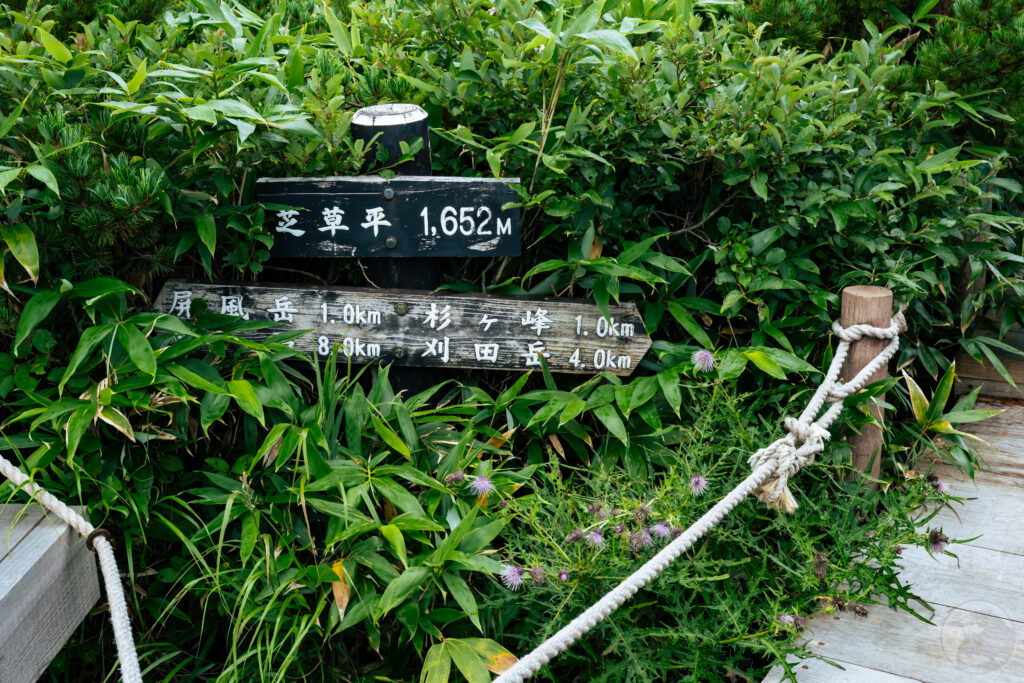芝草平標識