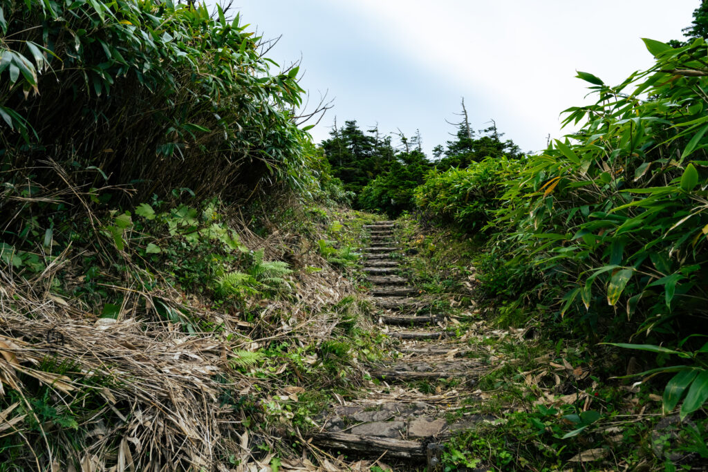 芝草平から登り