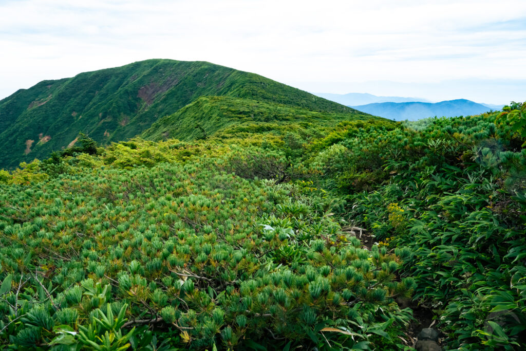 南屛風岳山容