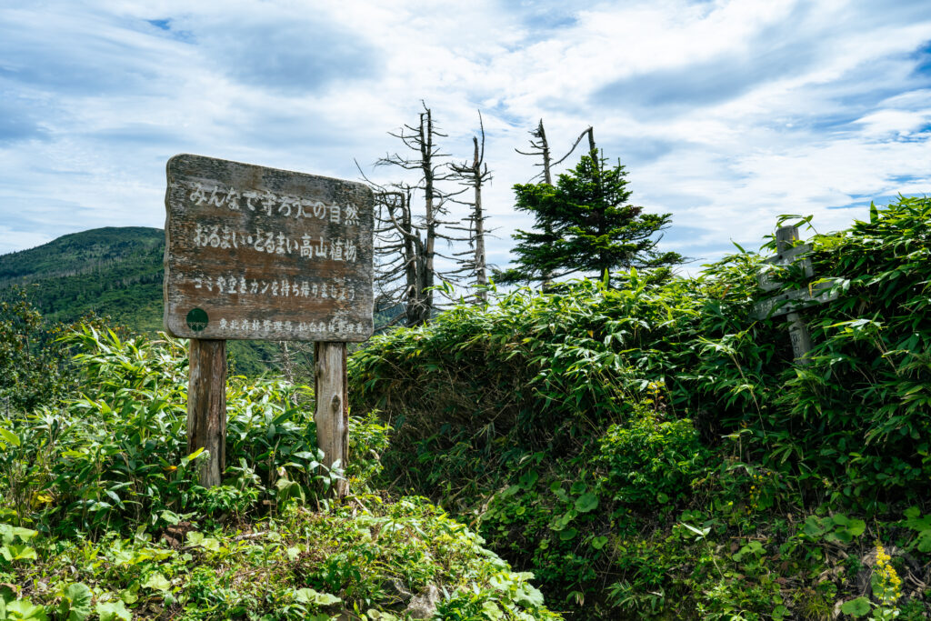 登山口帰り
