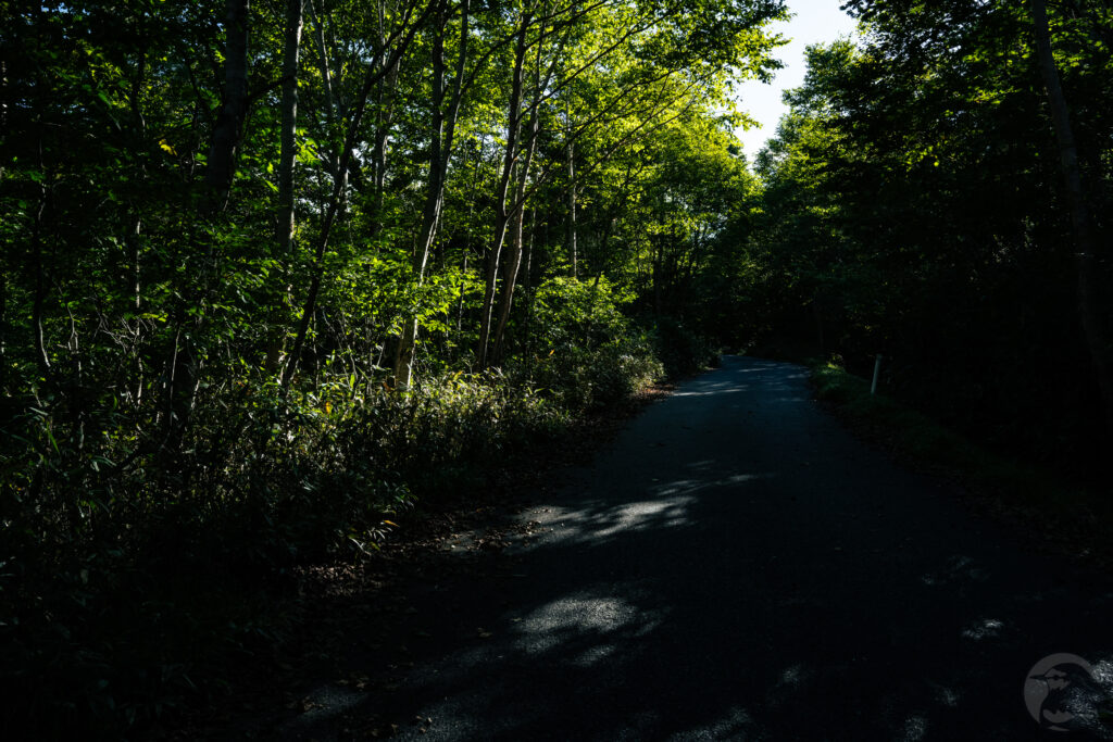 舗装路登り
