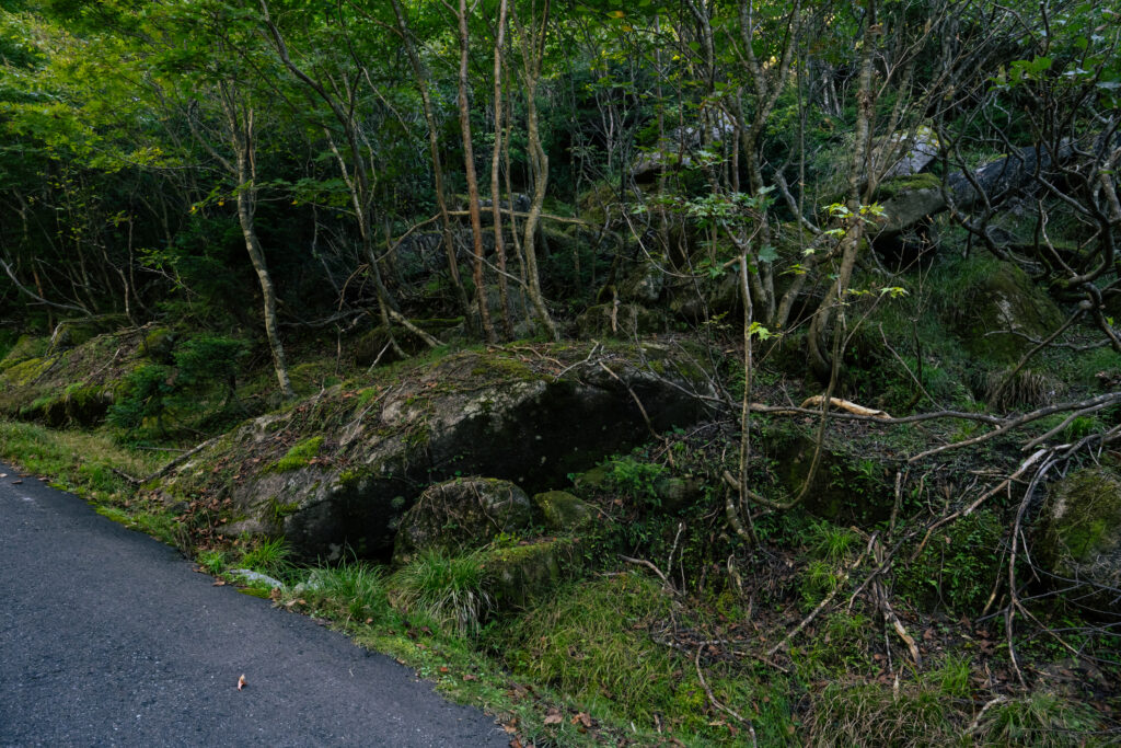 道路脇の岩