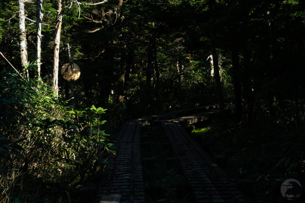 小田越登山口木道