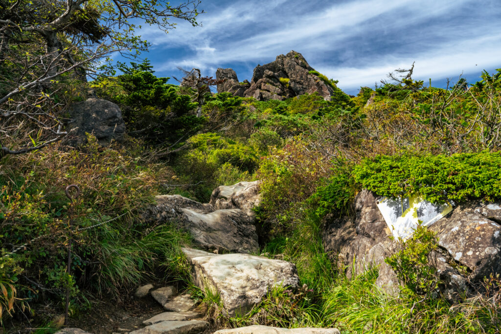 山頂手前岩場
