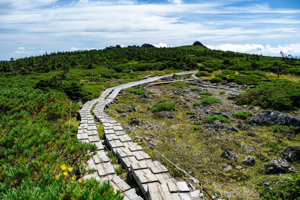山頂から分岐へ