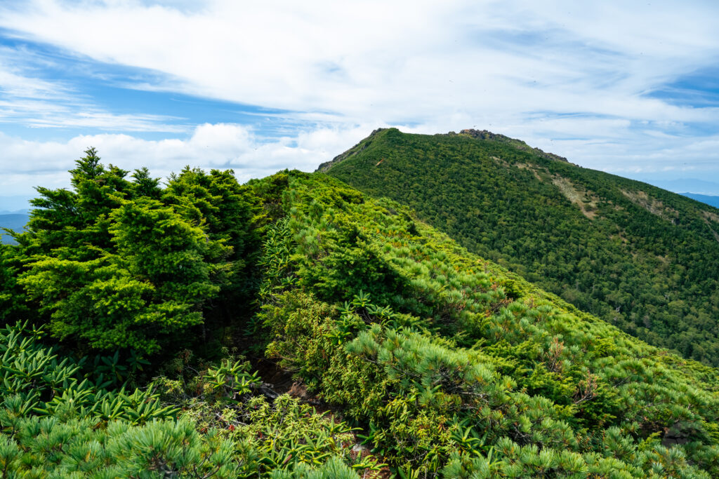 剣ヶ峰から帰り道