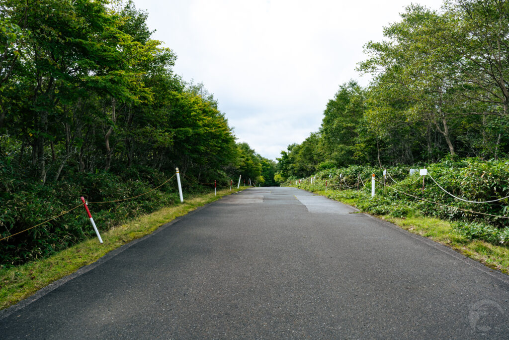 舗装路下り